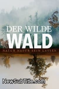 زیر‌نویس فارسی فیلم Der Wilde Wald
