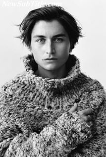 بیوگرافی Gustav Lindh