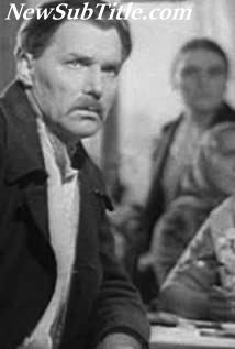 بیوگرافی Vasili Novikov