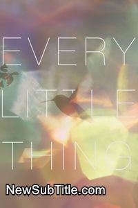 زیر‌نویس فارسی فیلم Every Little Thing
