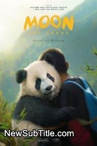 زیر‌نویس فارسی فیلم Moon The Panda