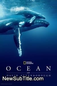 زیر‌نویس فارسی فیلم Ocean with David Attenborough