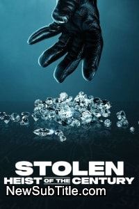 زیر‌نویس فارسی فیلم Stolen: Heist of the Century