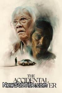 زیر‌نویس فارسی فیلم The Accidental Getaway Driver