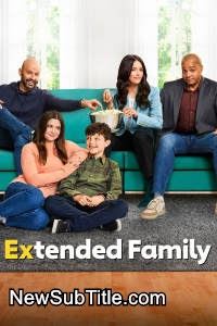زیر‌نویس فارسی سریال Extended Family - Season 1