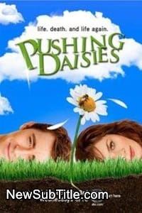 زیر‌نویس فارسی سریال Pushing Daisies - Season 1