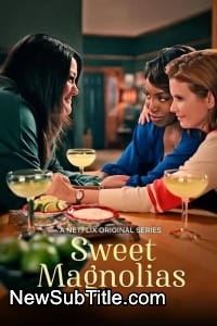 زیر‌نویس فارسی سریال Sweet Magnolias - Season 2